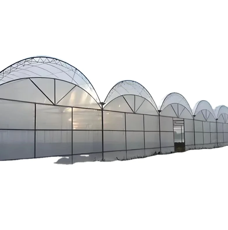 Low Price Tomato Agricultural Film Covering Economical Intelligent System Multi Span Greenhouse