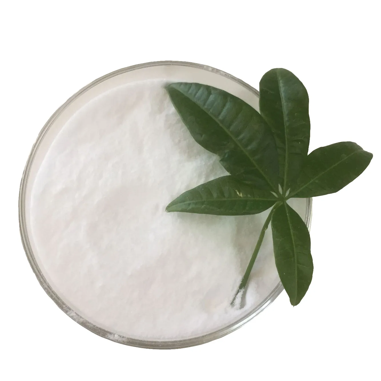 
high quality Nootropics powder Phenylpiracetam carphedon CAS 77472-70-9 