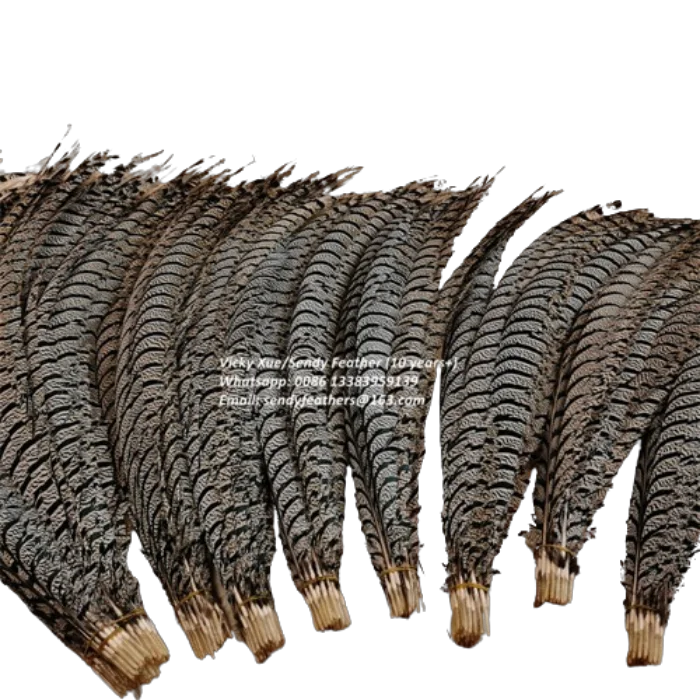 90-100cm Lady Amherst Center Tail Feathers Popular Pheasant Feathers for Carnival Costumes