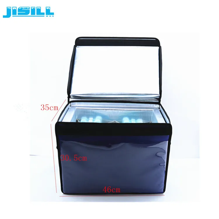4L Thermal Insulated Insulin Vial Cooler Chiller Box With PCM Ice Bricks