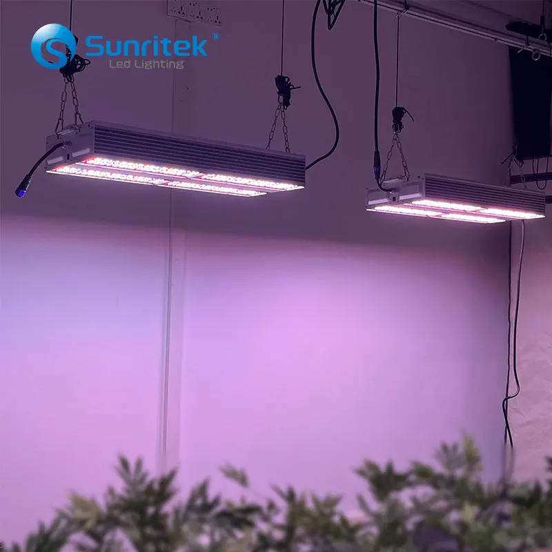 2023 лучший рост 450 Вт/650 Вт/780 Вт lm301b полный спектр с красным 750 нм ИК УФ светодиодный светильник для сельскохозяйственных теплиц