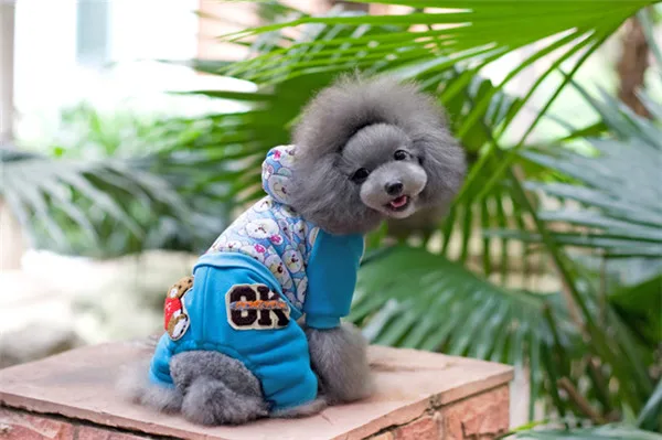 bears printing fabric dog wear pet clothes