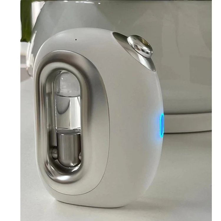 Rechargeable Nano Steam Face Hydrogen Spa mini nano sprayer type c electric mist sprayer machine