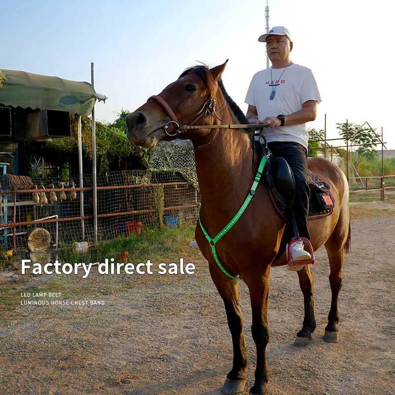 Wholesale Colorful Nylon Safety Lighted Flashing Light Up Strip Horse Collar Breastplate LED Horse Harness