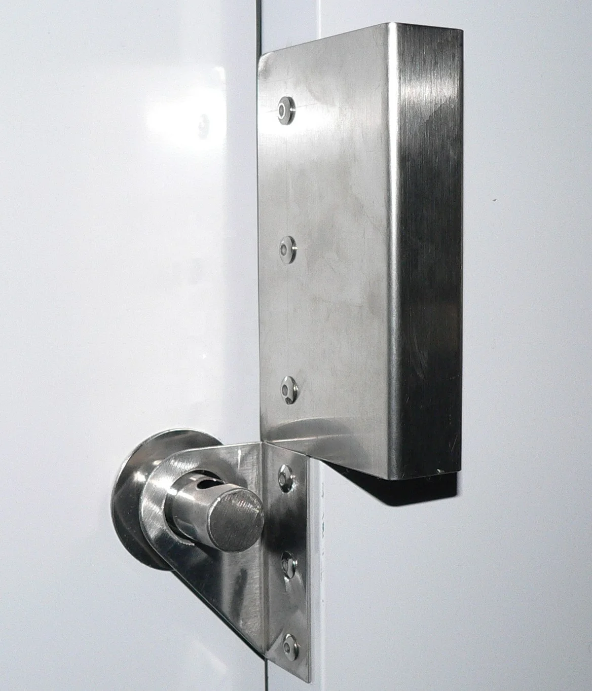 Door handle and locking pin for bagged ice storage