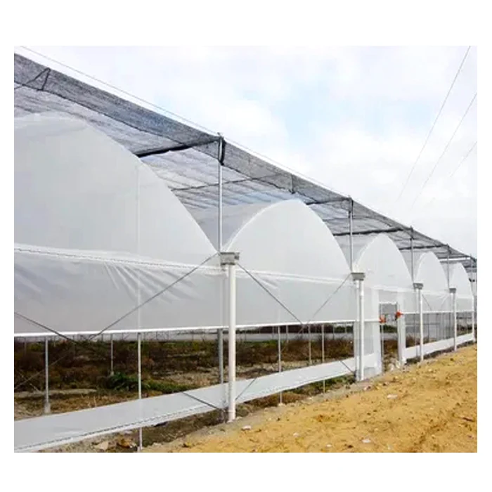  Multi-span Plastic Tunnel PE/ PO Film Agricultural Greenhouse with Hydroponics System Cheap