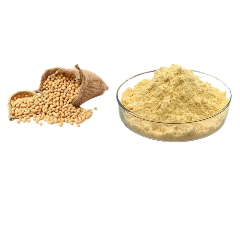 Top quality Nutritional Supplement Soybean Lecithin Powder Food Grade Lecithin High Potency