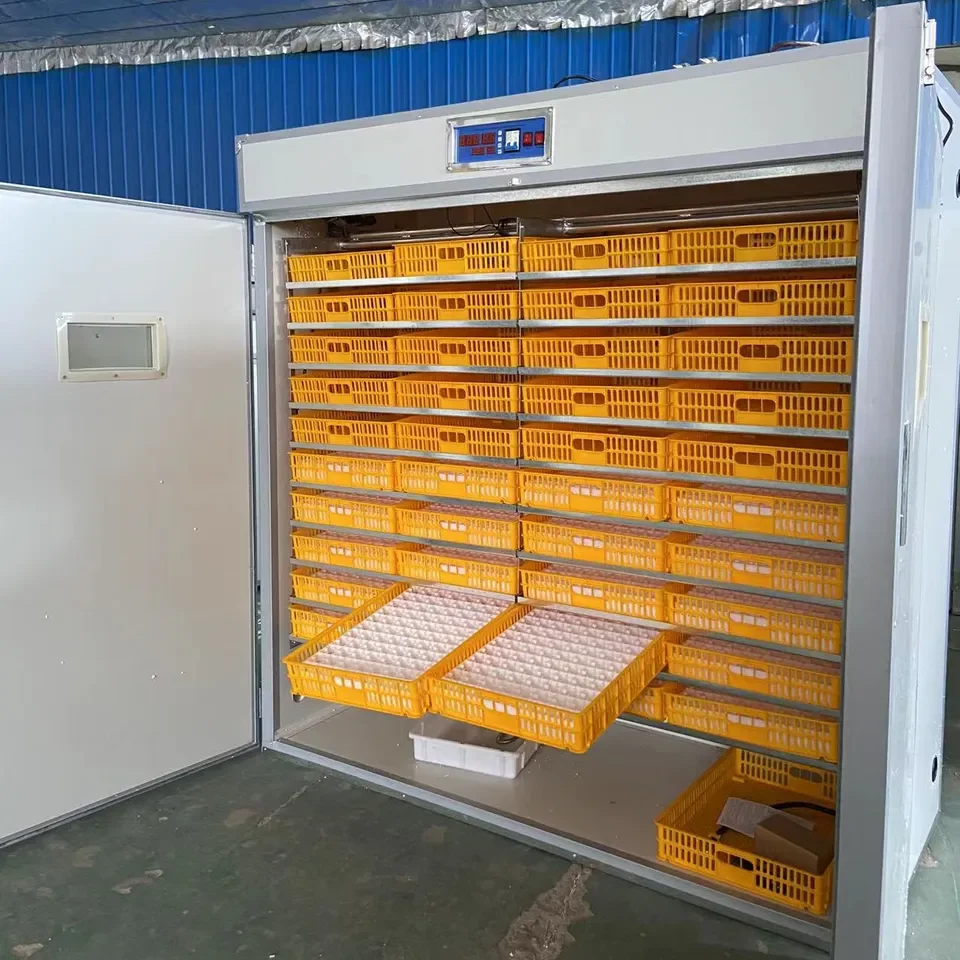 Solar eggs incubator in zimbabwe price chicken egg incubators automatic egg incubator