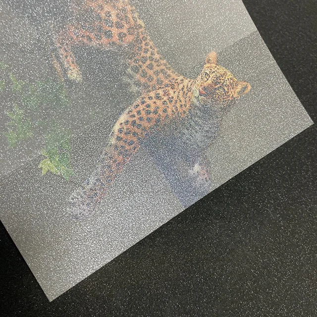 Holographic Film