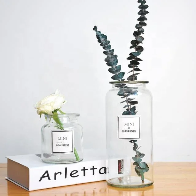 Decorative Colored Clear Glass Flower Vase Houseware Elegant Cylinder Glass Vase