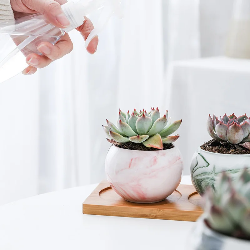 Горячая Распродажа домашний Свадебный садовый Декор Керамические суккуленты кактус небольшие горшки для растений