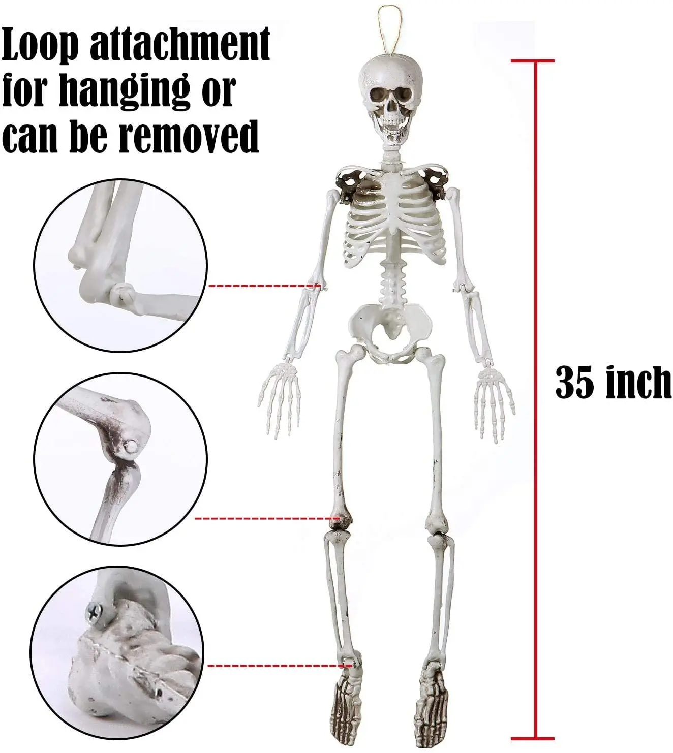 Customize 35 inch Halloween Skeleton Full Body Plastic Skeleton with Movable  Joints Perfect for Halloween Decorations Party