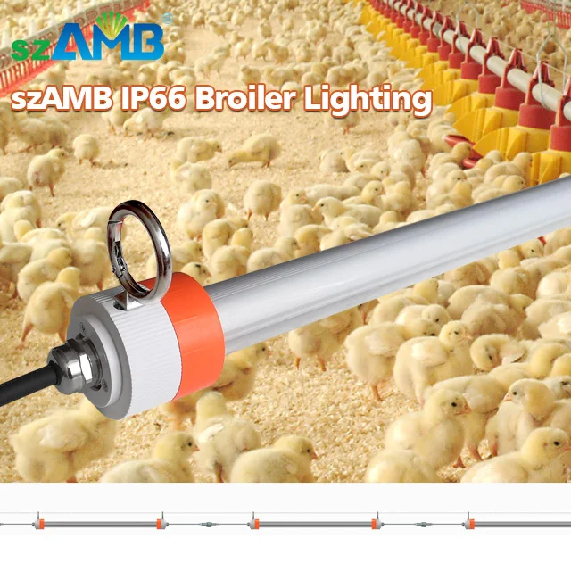 IP66 Waterpoof Dimming Livestock Light Or poultry Farm LED Tube Lighting With 5 Years warranty