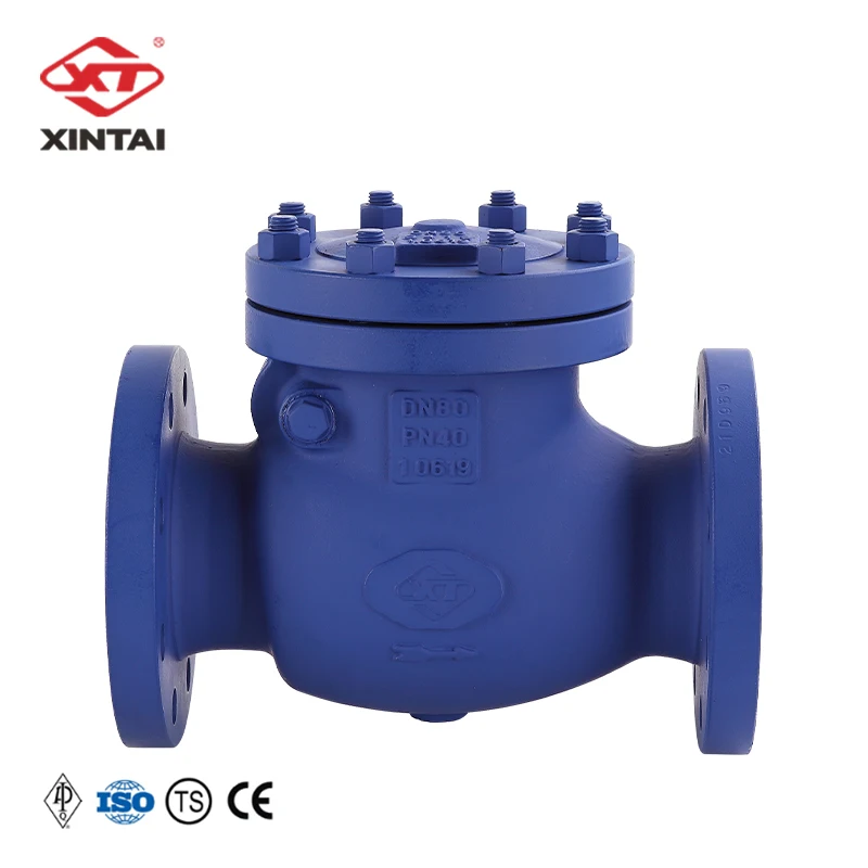 
DIN check valve H44H-40C 3inch swing Matte blue with texture customizable 