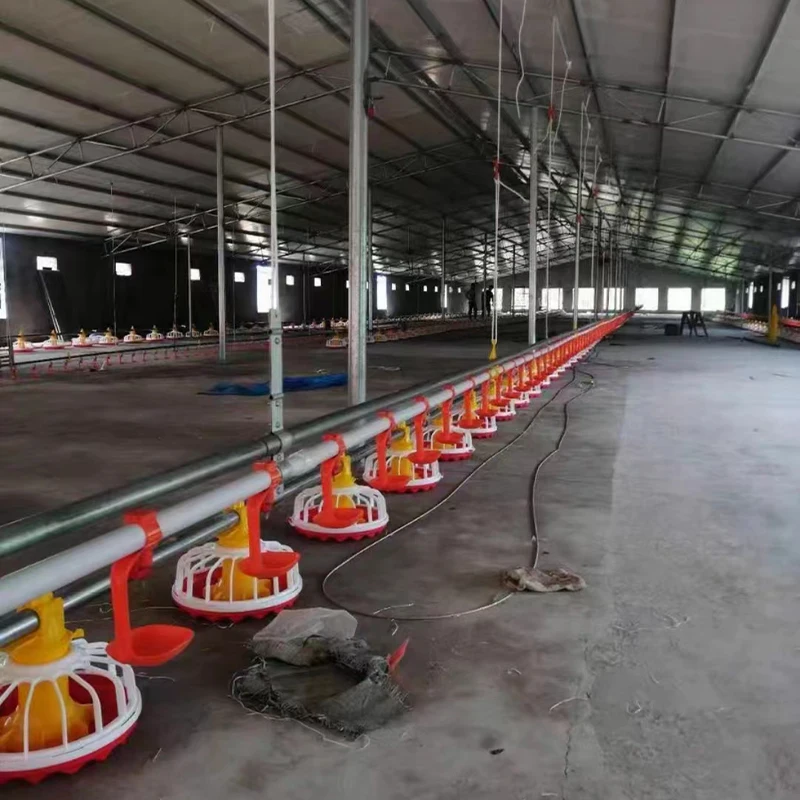 Full-Automatic Poultry Farming Equipment for Broiler Breeding Chicken Shed/Chicken House with Efficient Chicken Bird Feeders