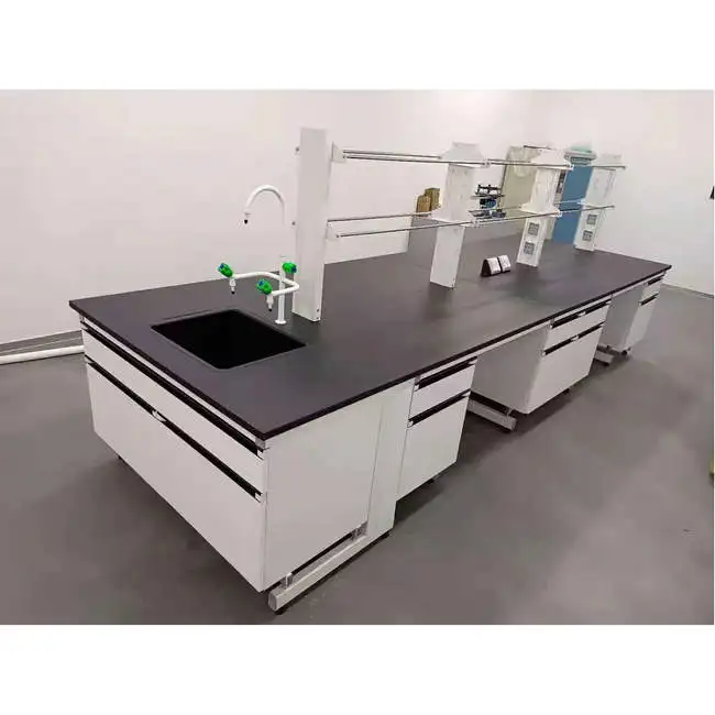 Epoxy Coated Steel Frame And Wood Laboratory Worktable With Lab PP Sink