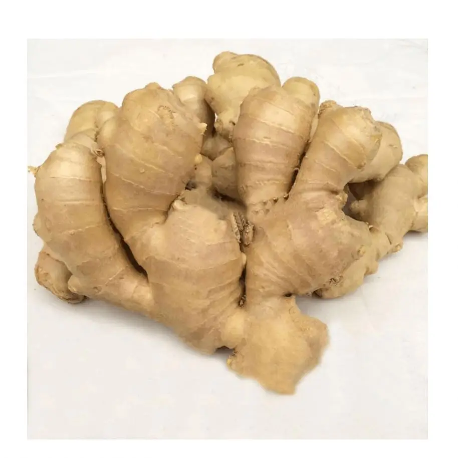 
fresh ginger/market price for ginger 