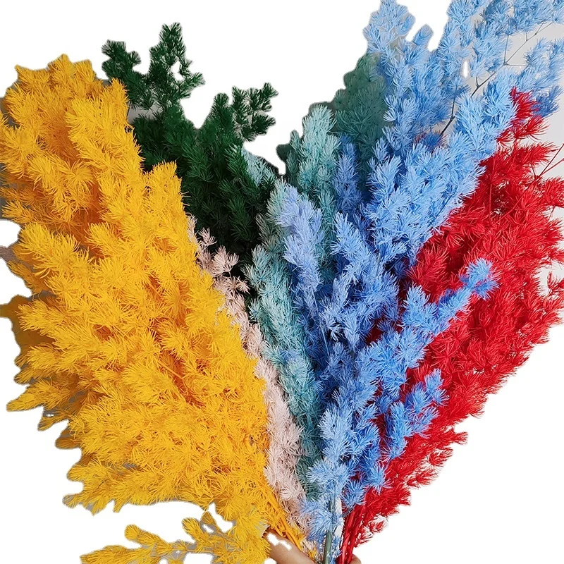 White Preserved Asparagus Ming Asparagus Fern Dried Flowers Craft Supplies FloralHome Wedding Decor Florals for Vase DIY Flowers