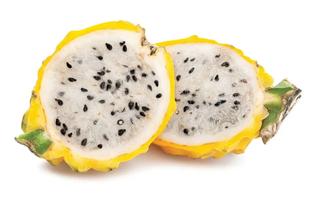 High quality fresh dragon fruit/ Red and white dragon fruit from Ecuador