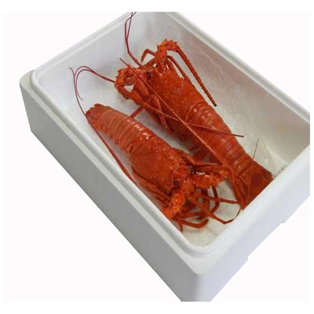 Япония, префектура Ми Хама, тушеные морепродукты из спинни, Лобстер