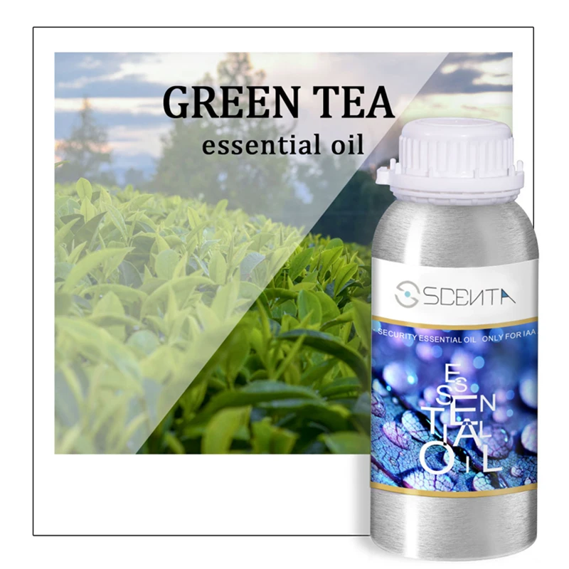 SCENTA 100% Pure Natural Concentrated Private Label Fragrance Perfume Aroma Oils For Scent Diffuser