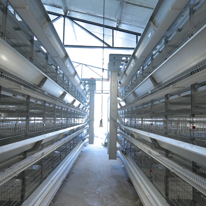 Automatic H Type 4 Tiers Bird-Harvesting Broiler Raising Cage for Layer Chicken Raising Poultry Farm