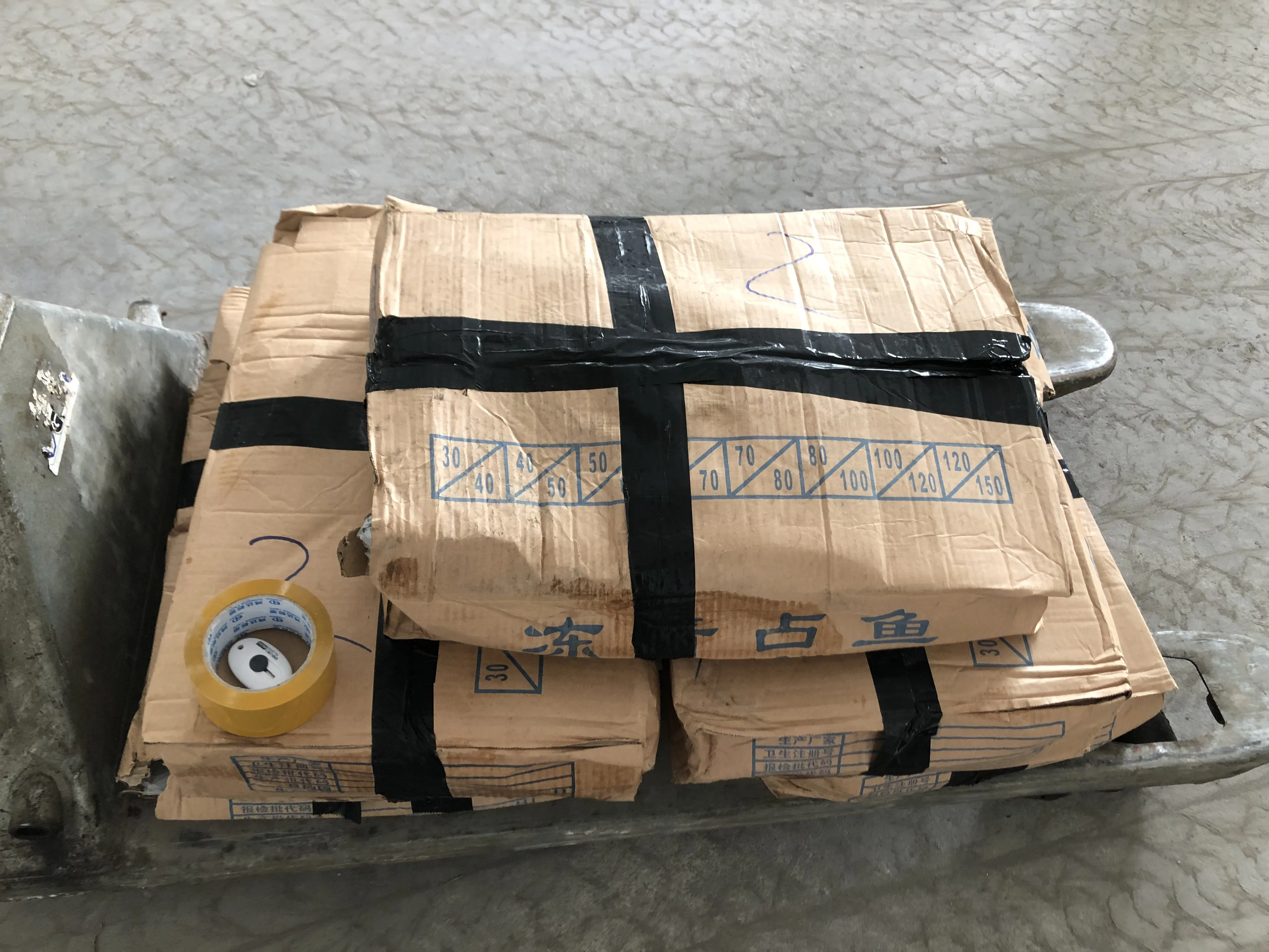 frozen pacific mackerel for  food frozen seafood pacific mackerel frozen saba mackerel