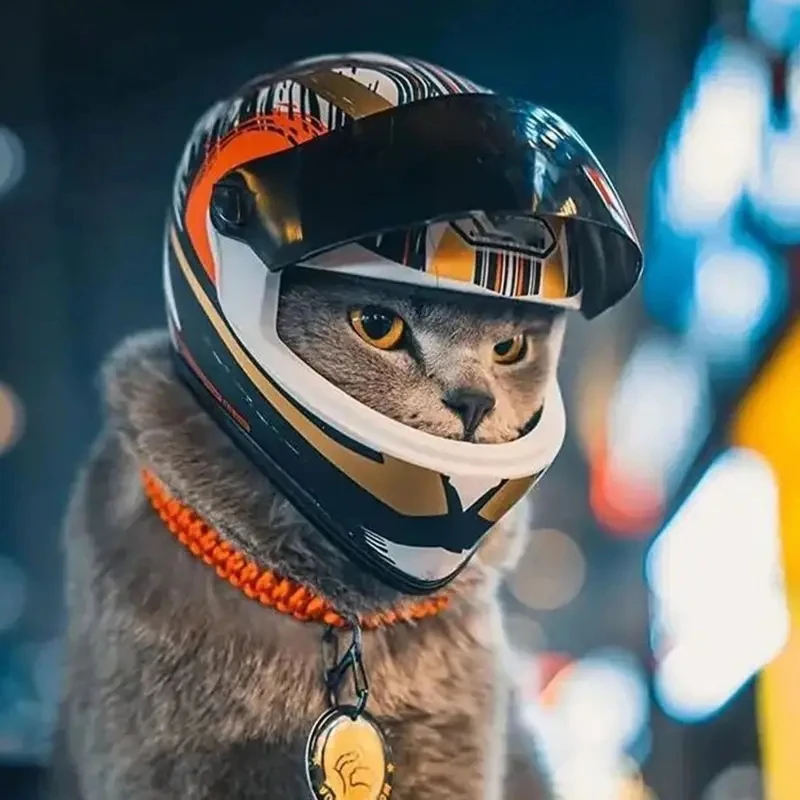 Personalized mini motorcycle helmet ABS cat headwear motorcycle helmet toy model for pets
