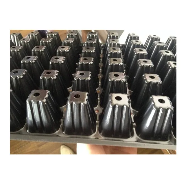 Microgreen Trays Extra Strength Shallow Seed Starting 1020 Plant Germination Tray With Holes for Microgreens Wheatgrass