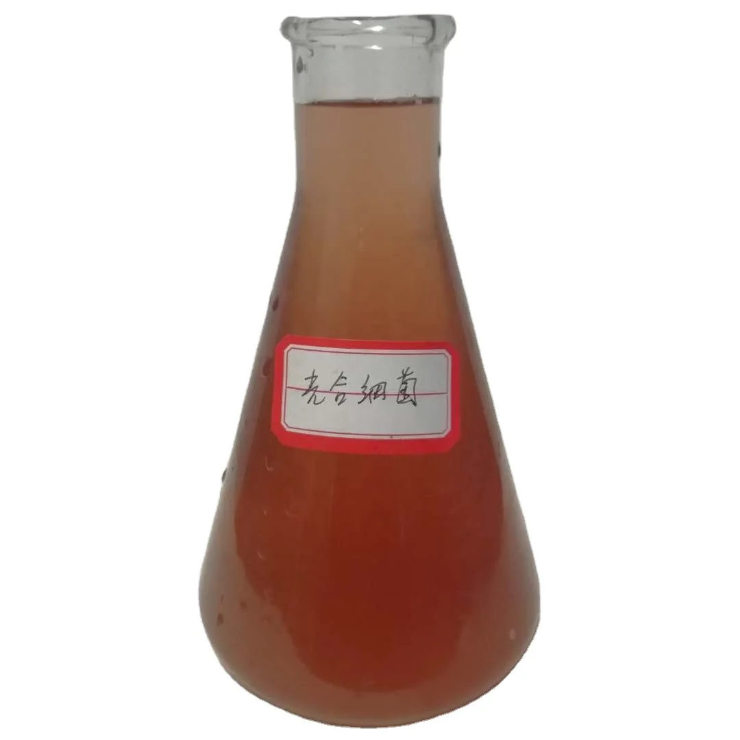 Photosynthetic Bacteria Probiotics Liquid for Fish Shrimp Crab Pond