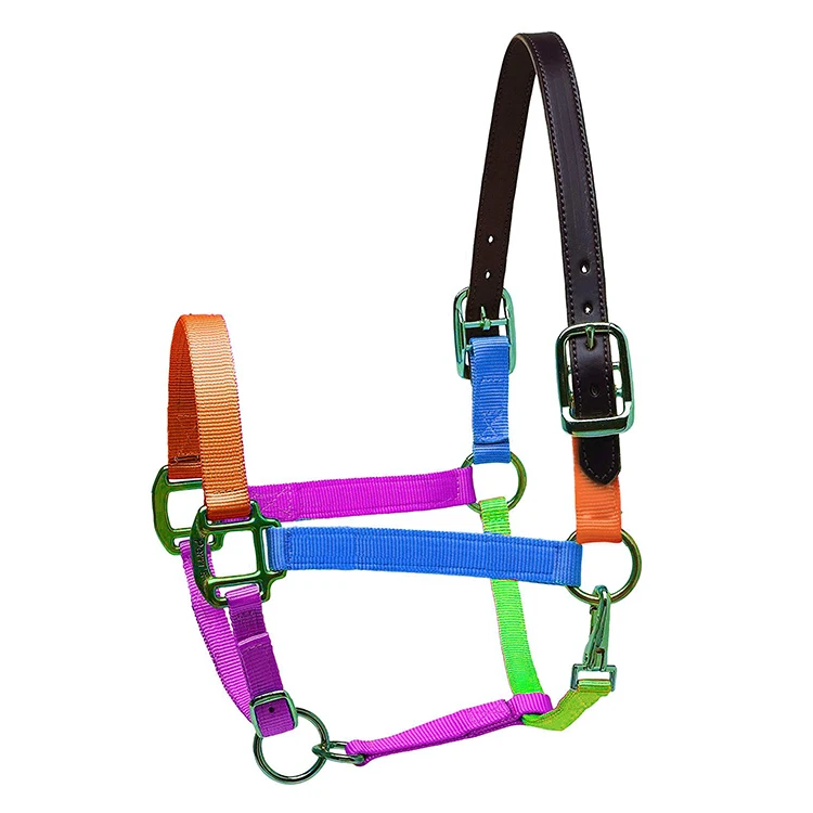  Оптовая продажа высокое качество лошадь headcollars производитель оборудование для лошадей в вашем собственном дизайне нейлоновые с лямкой на
