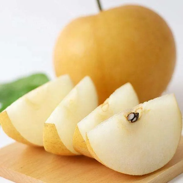 
hot sale fresh brown pear white pear with good quality 