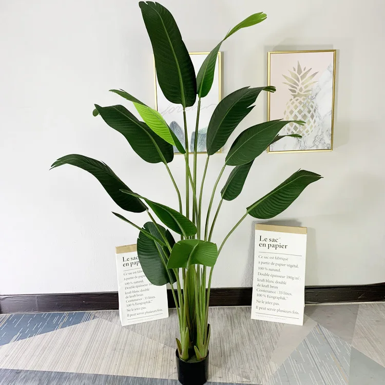 Living Room Outdoor Potted Face Monstera Plants For Artificial Plant