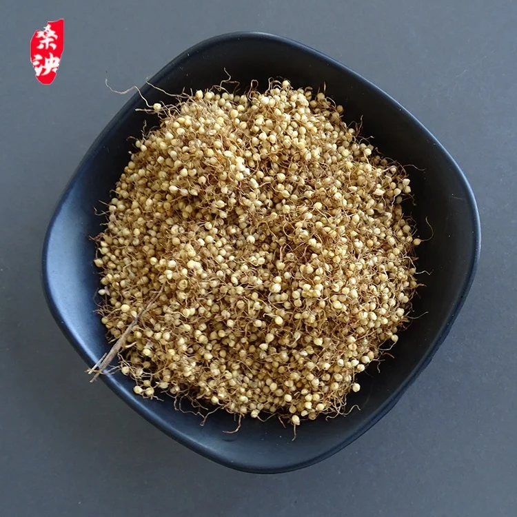 Premium natural harvested soft and hard ground wheat