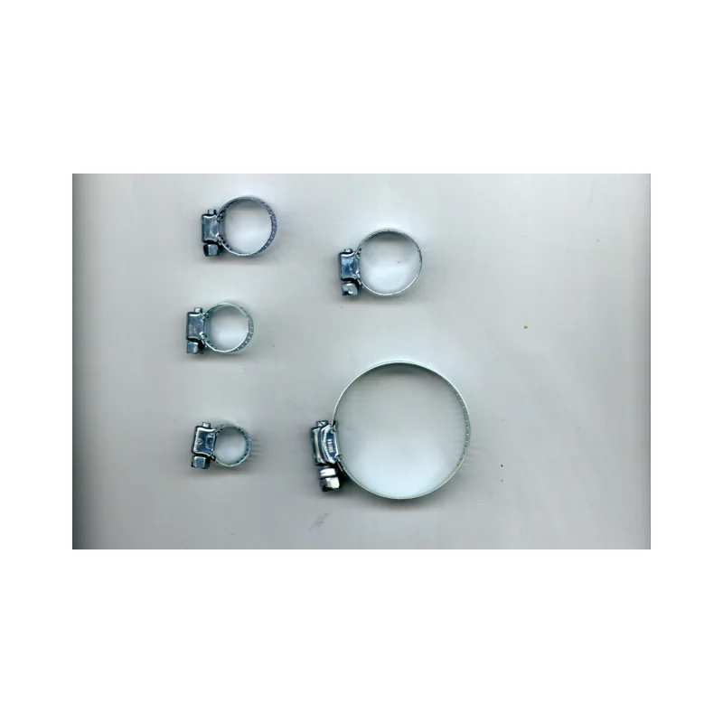 High End General Industry American Type Galvanized Steel Screw And Band Hose Clamp Made In Taiwan