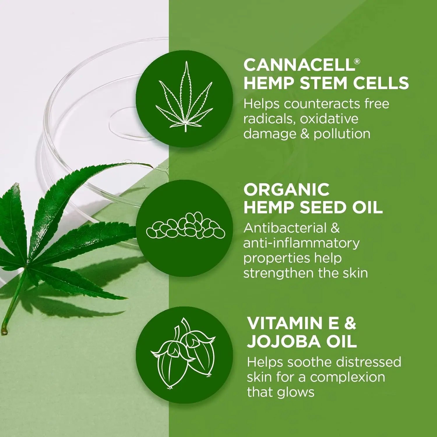 2024 New Arrival Energize Aging Sea Salt Aloe Hemp Seed Oil Face Skin Toner