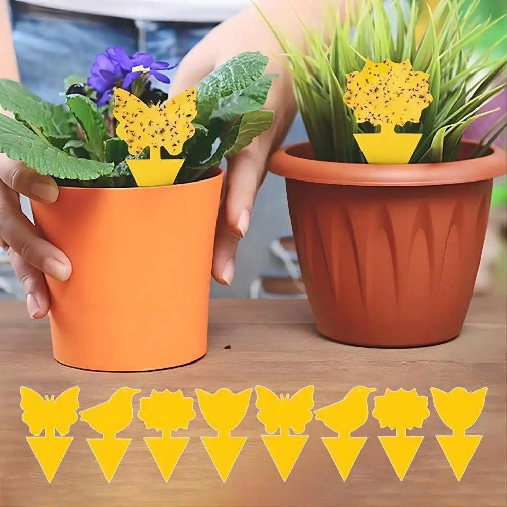 10pcs Sticky Traps Yellow Double-sided Insect Catcher Fruit Fly Sticky Bug Trap Board Garden Plant Protection Flycatcher