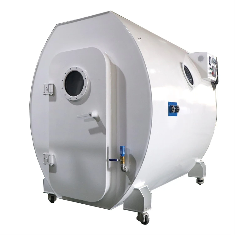 Animal Research Hard Type Altitude Chamber Hypobaric Chamber Low Pressure Test Chamber