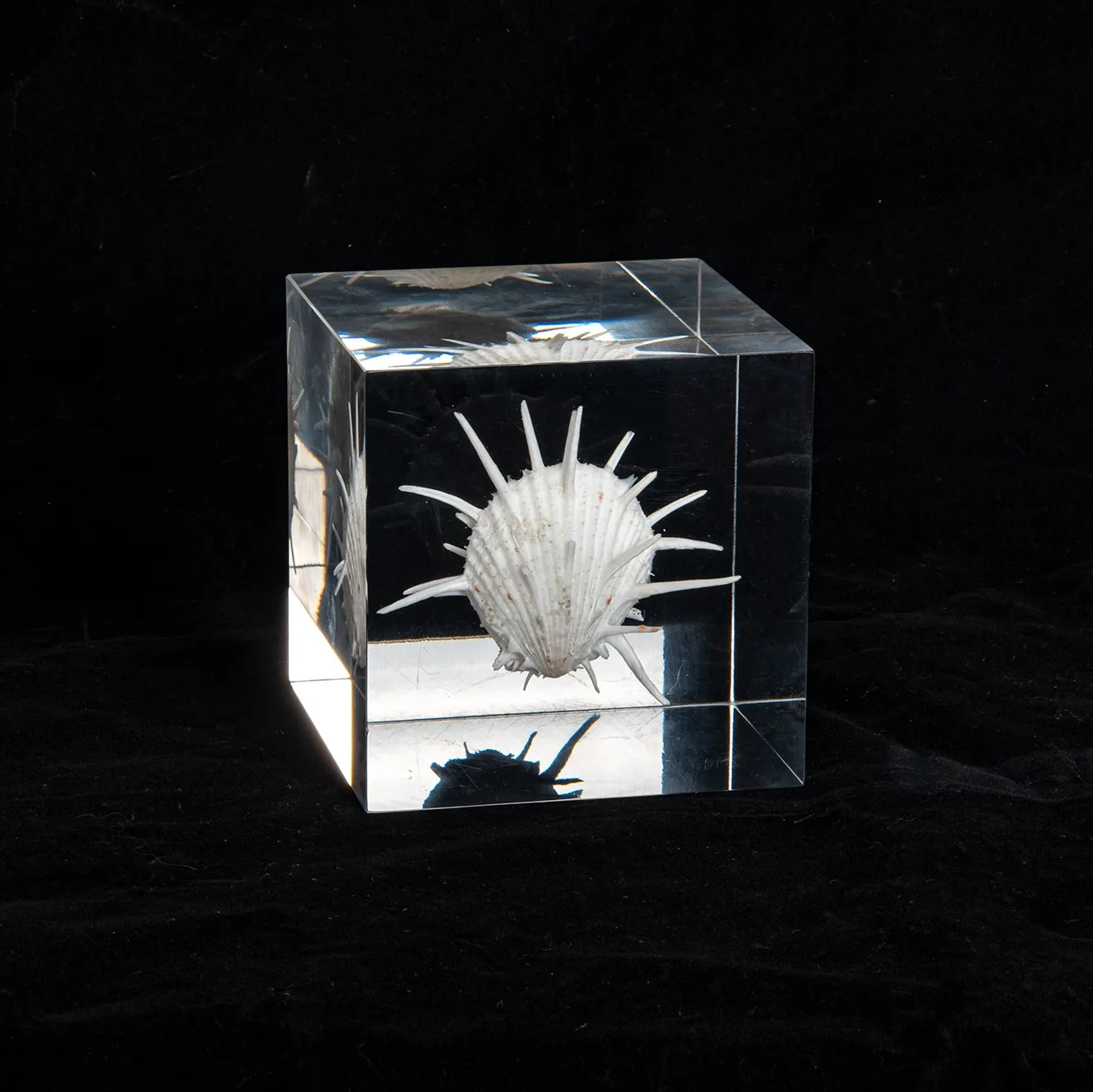 Solar Table  Solar System Shape Round Ring Model Best Quality Table Ware For Home  Living Room Decor