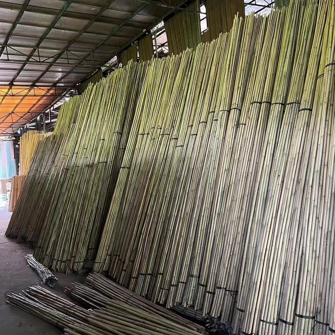Professional manufacturer custom logo agriculture natural bamboo raw materials tonkin cane for sale