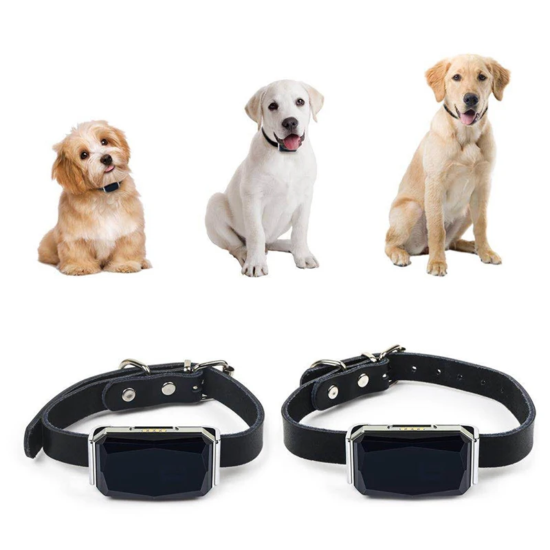 Factory Wholesale 10m IP67 Waterproof Magnetic Charging Smart Pet Activity Tracker Gog GPS Tracker