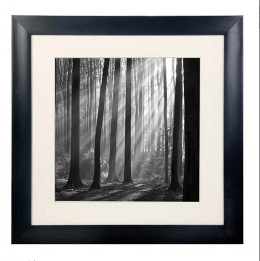 Best Western Inn Hotel Room Wall Art Used Picture Frame for Living Room Dining Bathroom Kitchen-for Sale