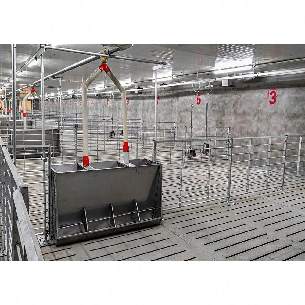 Изготовленный на заказ Новый продукт удобный и экологически чистый прочный свиноводческое оборудование ящик для откорма свиней