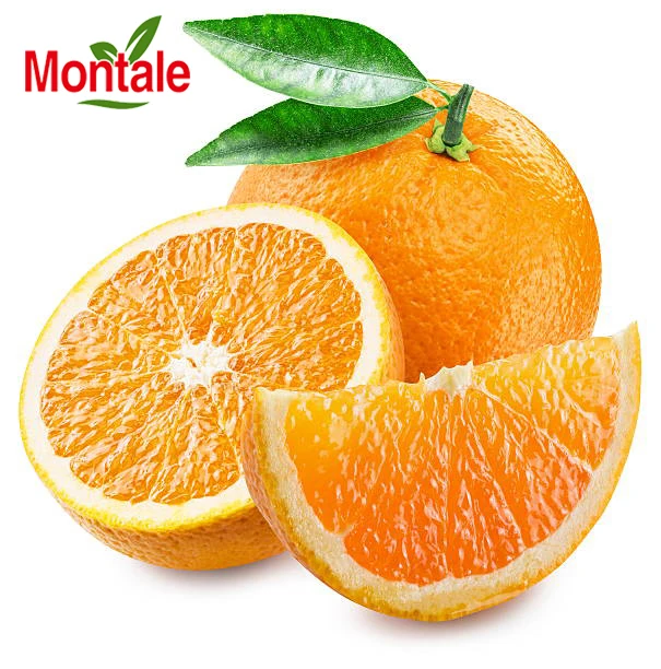 Montale  newest Wholesale best newhall orange new market fresh orange