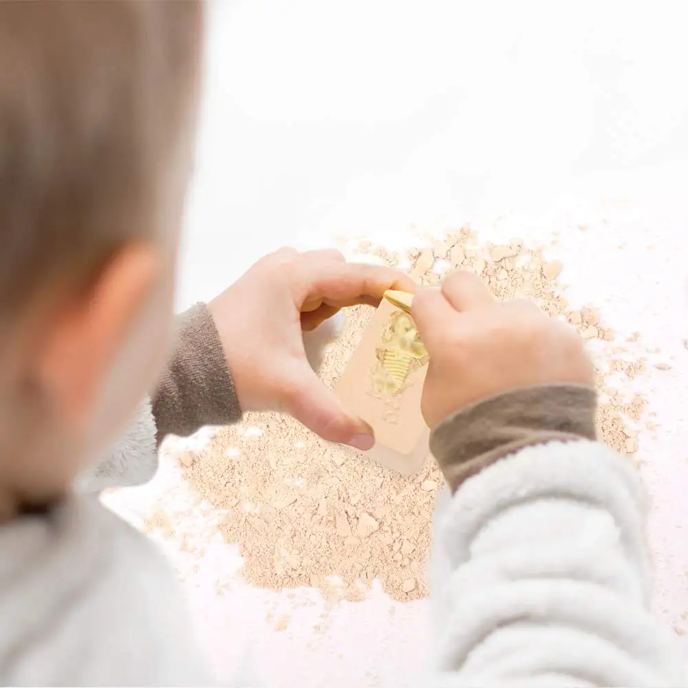 Amazon Excavation Dig Kit for Kids Dinosaur Bone Skeleton Toy 6 Styles to Collect