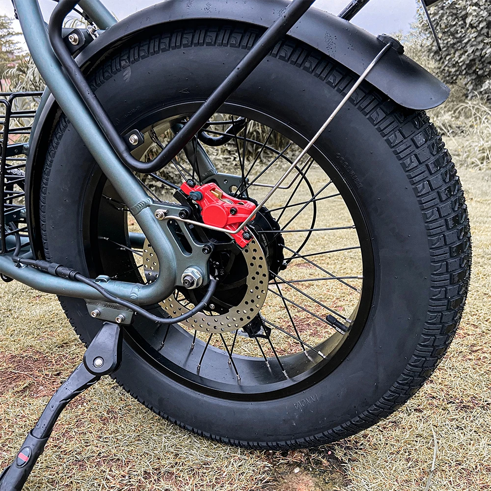 Elektrische Fietsen 20 Inch Double Hydraulic Disc Brake Pedelec 750w Electric bike for sale