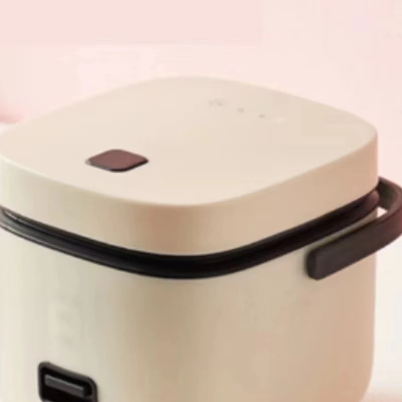 Factory direct sale high quality multifunctional Electric Cooker special price promotion