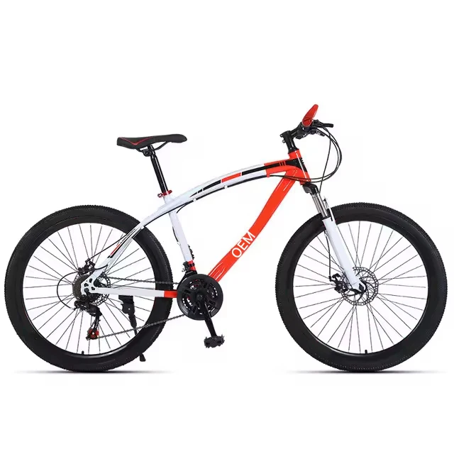 High quality double disc brake Fitness shaping Aerobic exercise 21 speed mountainbikes 24 inch mountain cycle