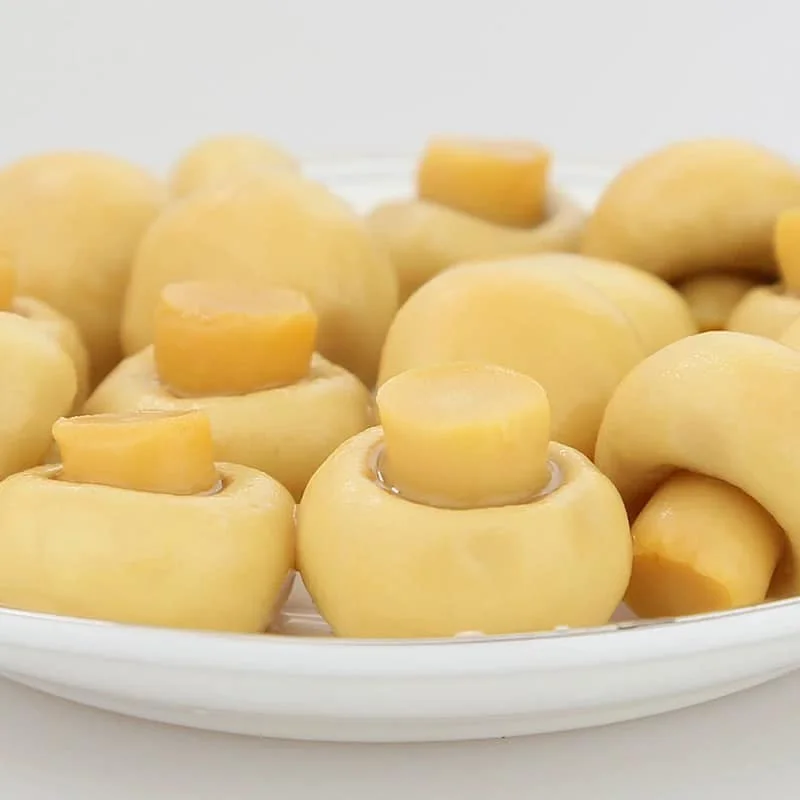 2022 New Season 400g Canned Champignon Mushroom