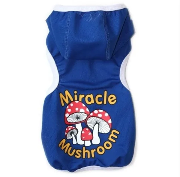 fashion wholesale dog supplies